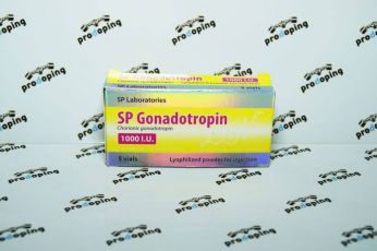 Gonadotropin (SP Labs)