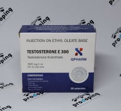 Testosterone E300 (Qpharm)